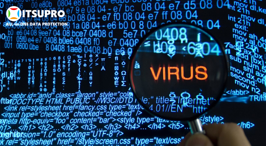 Virus là một hay một chuỗi đoạn mã chương trình độc hại