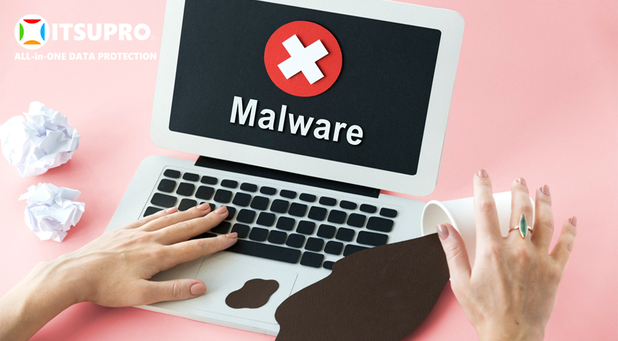 Malware là gì? Các loại mã độc phổ biến và cách phòng chống